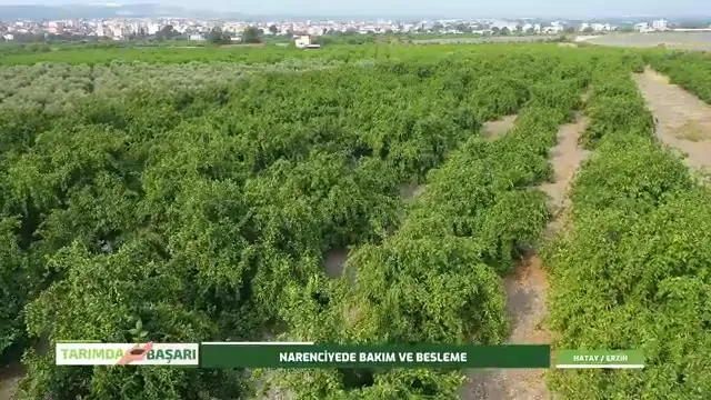 Tarımda Başarı
