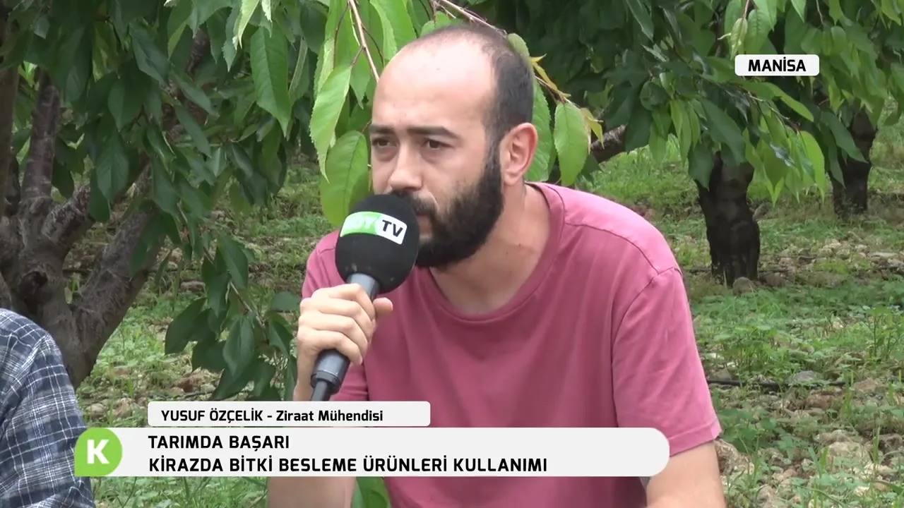 Tarımda Başarı - kiraz besleme