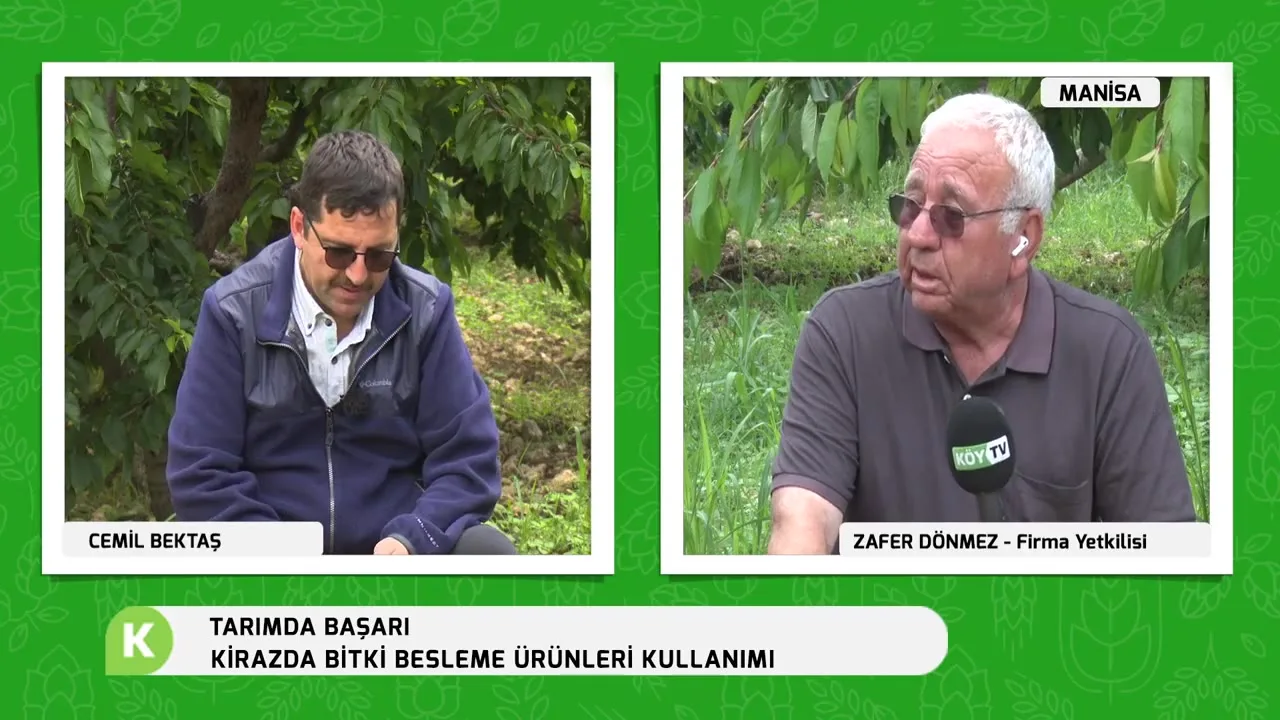 Tarımda Başarı - kiraz besleme