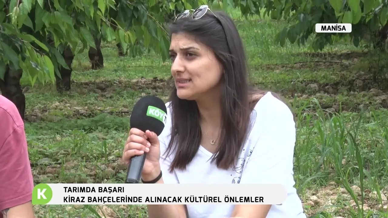 Tarımda Başarı - kiraz besleme