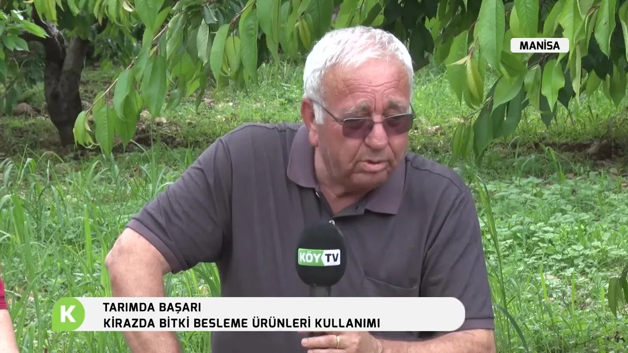 Tarımda Başarı - kiraz besleme