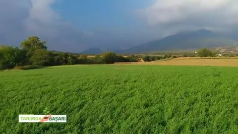 Tarımda Başarı
