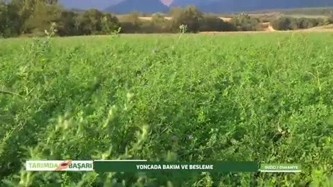 Tarımda Başarı