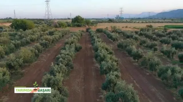 Tarımda Başarı