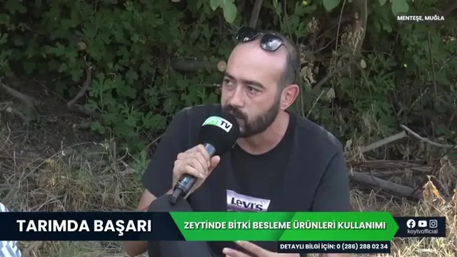 AgroTroia saha mühendisi 9 aşamalı zeytin besleme programını anlatıyor