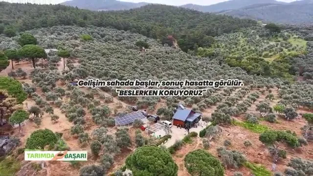 Tarımda Başarı