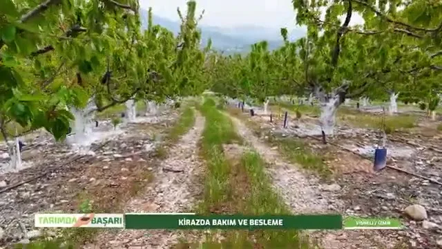 Tarımda Başarı