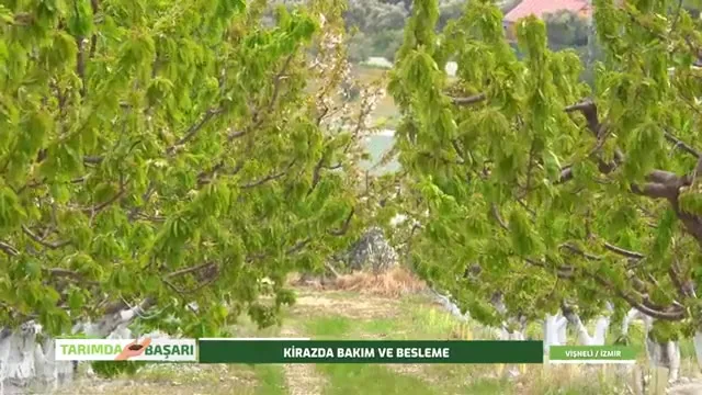 Tarımda Başarı