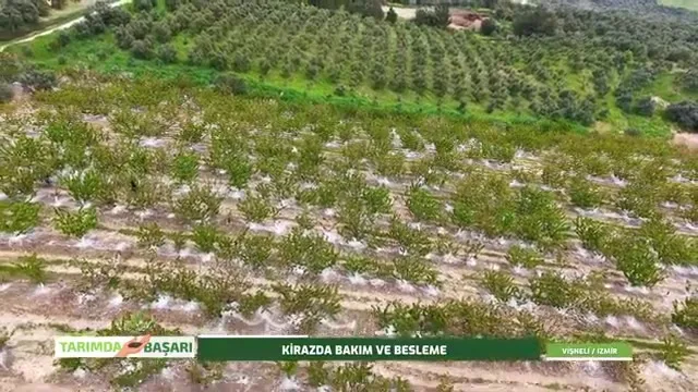 Tarımda Başarı