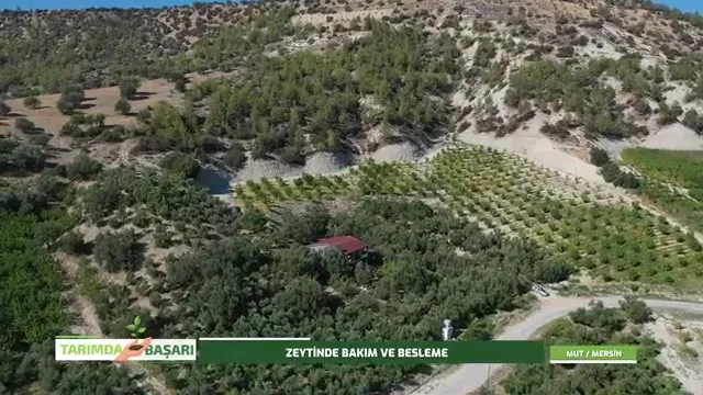 Tarımda Başarı