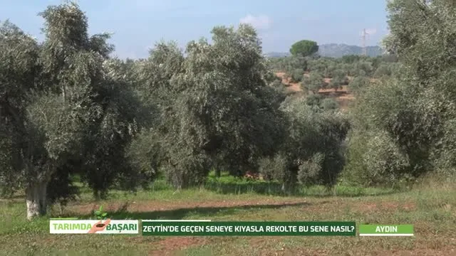 Tarımda Başarı