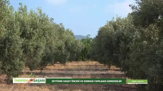 Tarımda Başarı