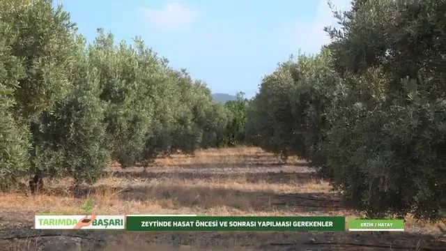 Tarımda Başarı