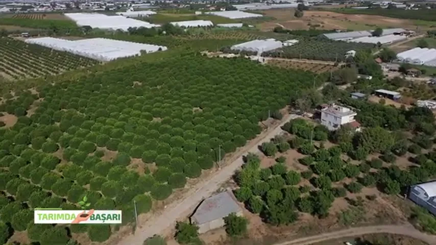 Tarımda Başarı