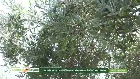 Tarımda Başarı