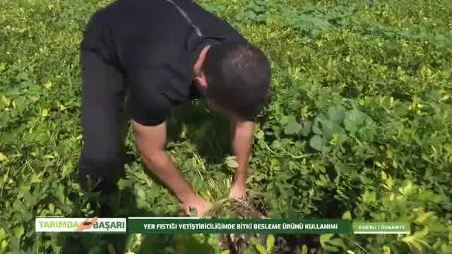 Tarımda Başarı
