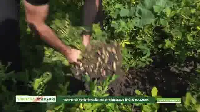 Tarımda Başarı