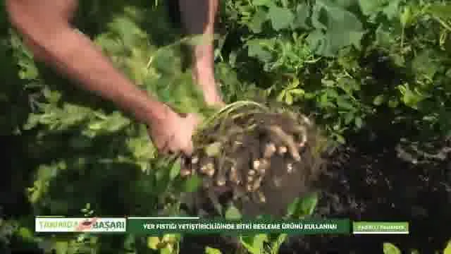Tarımda Başarı