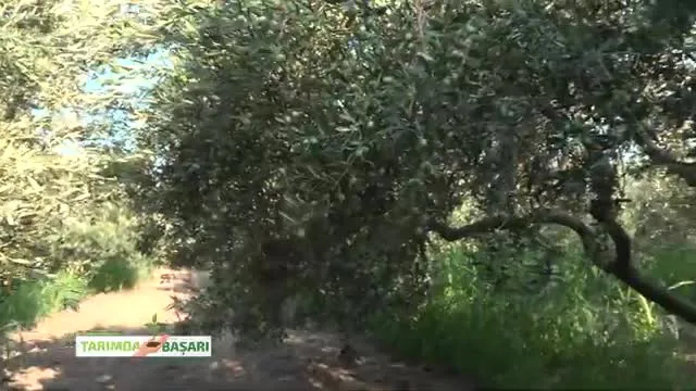Tarımda Başarı