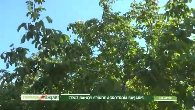 Tarımda Başarı