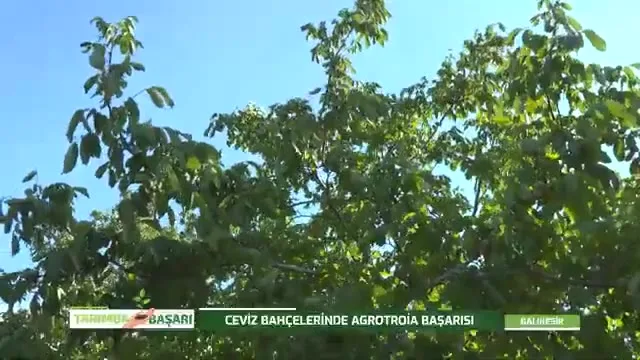 Tarımda Başarı