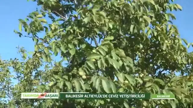 Tarımda Başarı