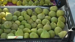 Tarımda Başarı