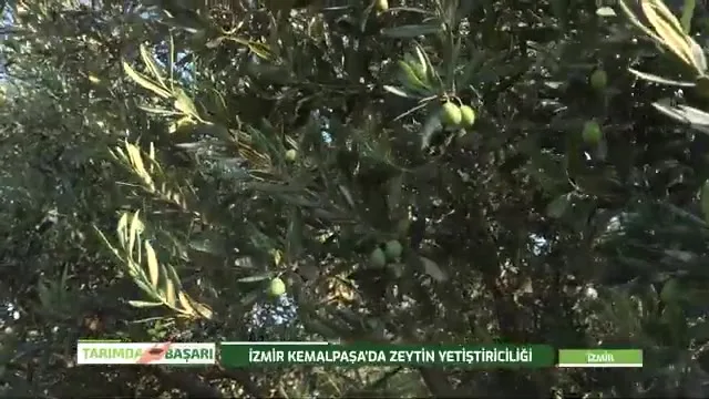 Tarımda Başarı