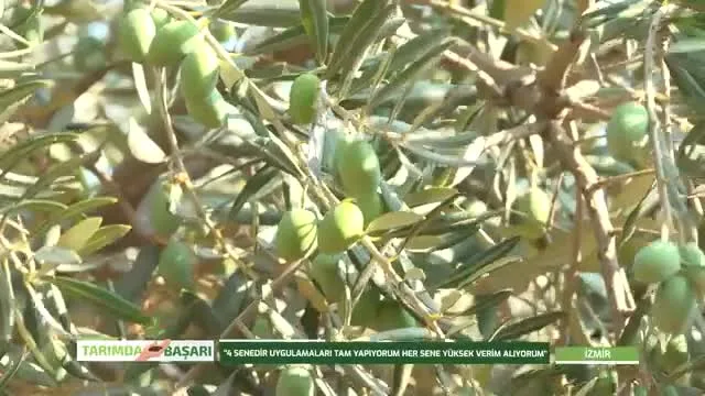 Tarımda Başarı