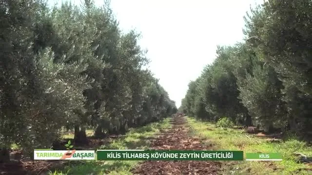 Tarımda Başarı