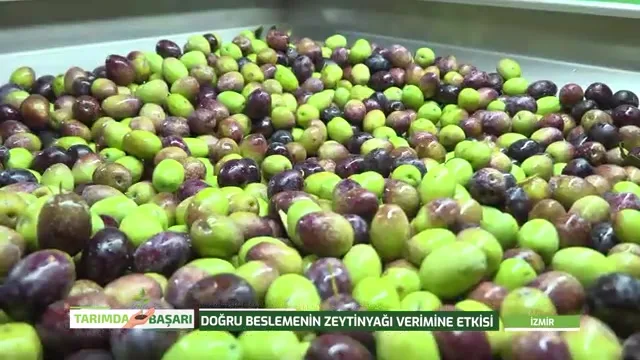 Tarımda Başarı