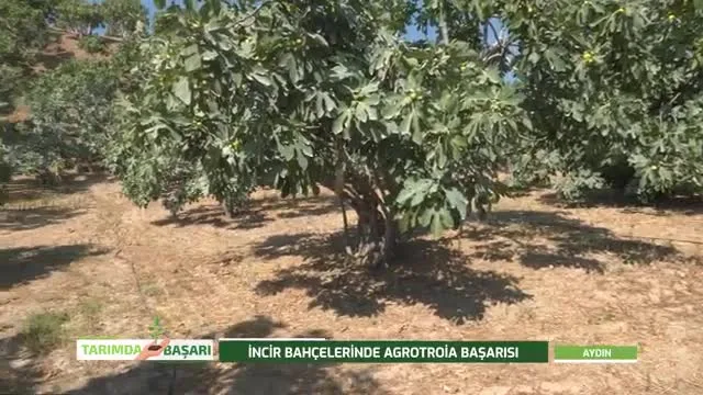 Tarımda Başarı