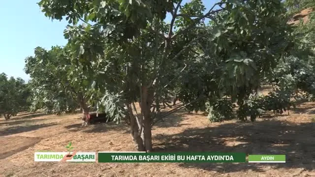 Tarımda Başarı