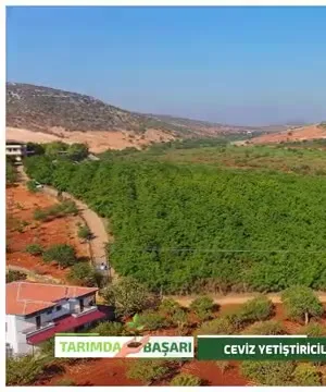 Tarımda Başarı