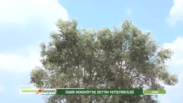 Tarımda Başarı