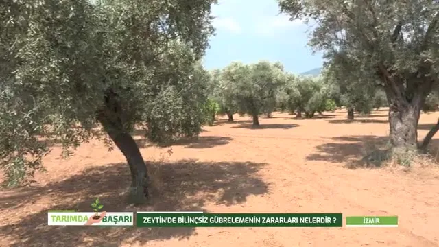 Tarımda Başarı