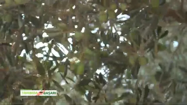 Tarımda Başarı