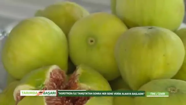 Tarımda Başarı