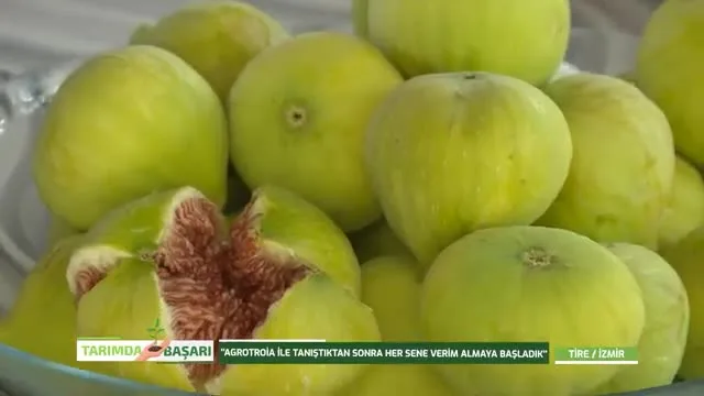 Tarımda Başarı