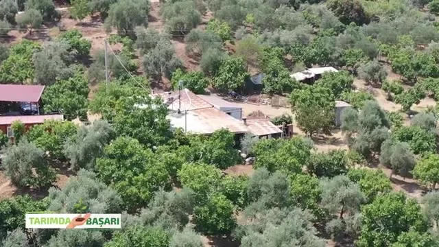 Tarımda Başarı