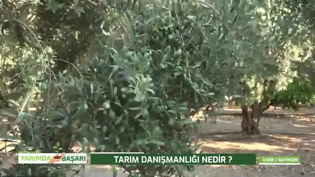 Tarımda Başarı