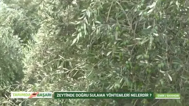 Tarımda Başarı