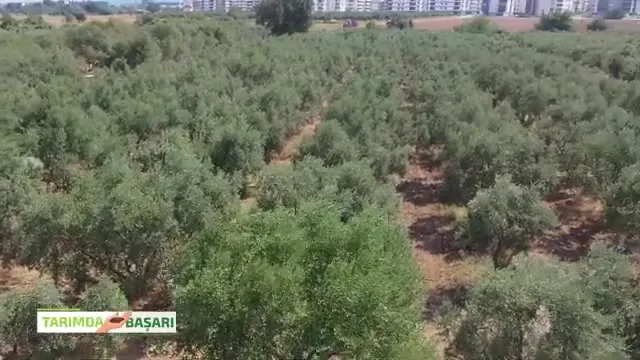 Tarımda Başarı