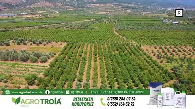 Tarımda Başarı