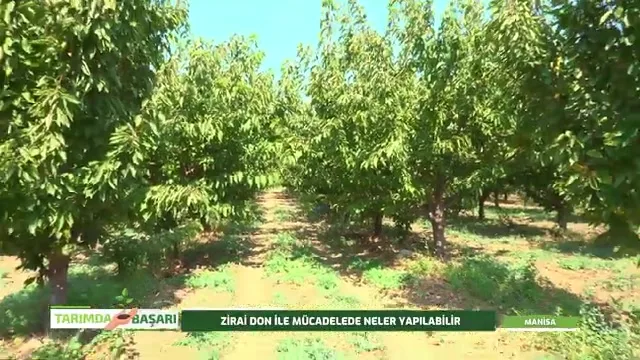 Tarımda Başarı