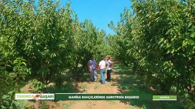 Tarımda Başarı