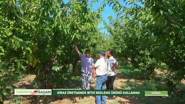 Tarımda Başarı