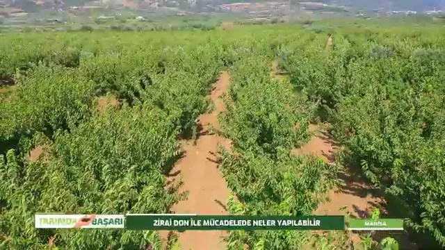 Tarımda Başarı