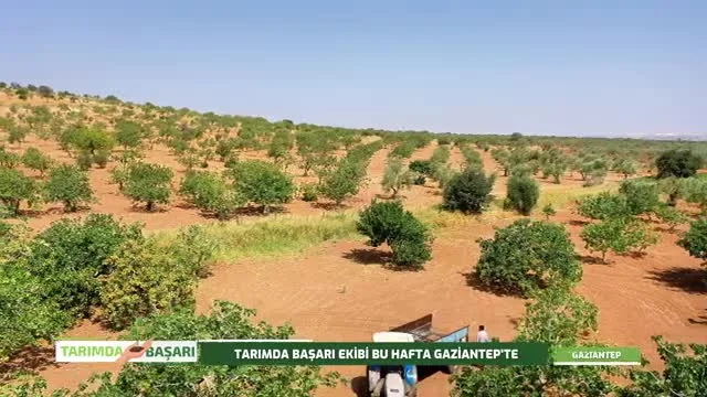 Tarımda Başarı