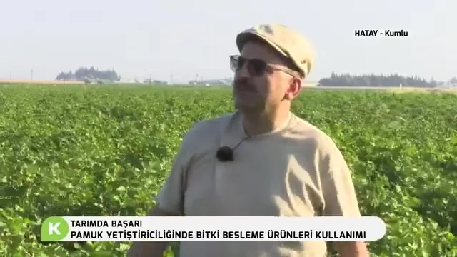 Tarımda Başarı - pamuk besleme